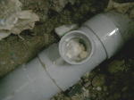 排水管内の固着